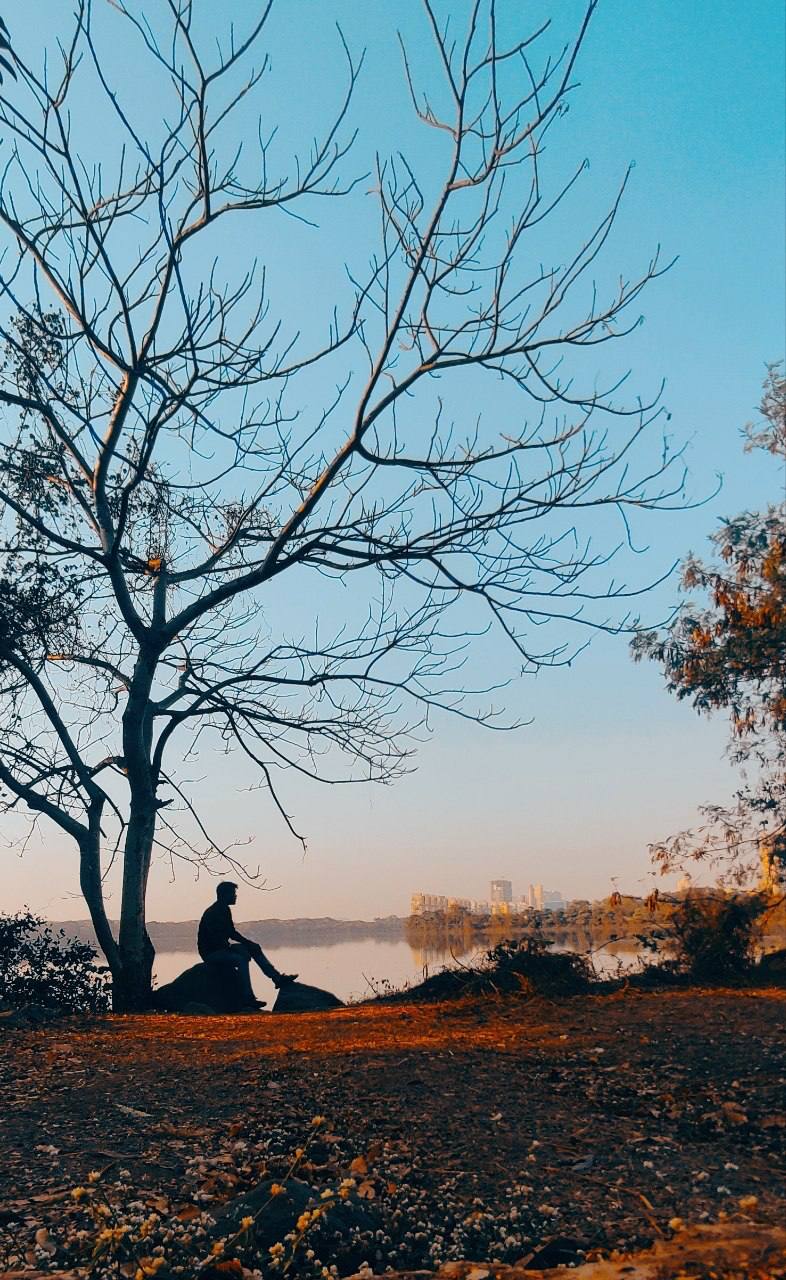 a person sitting on a bench in front of a tree